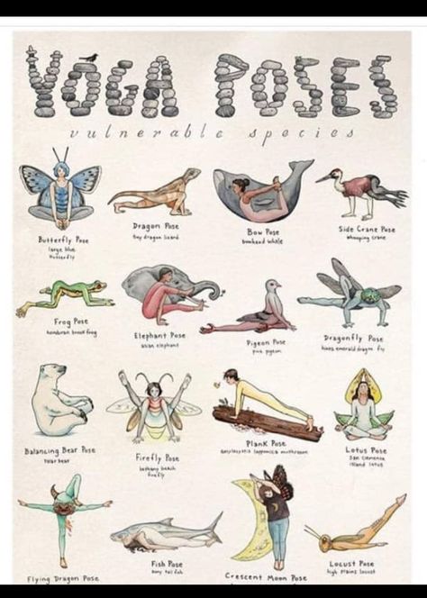 Animal Yoga Poses, Yoga Poses Chart, Yoga Kunst, Yoga Poses For 2, Manipura Chakra, Yoga Relaxation, Animal Yoga, Kids Yoga Poses, Poses For Beginners