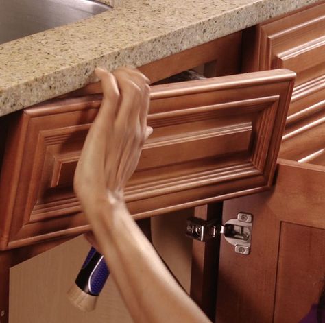 Hidden Storage: False-Front Drawer Drawer Ideas, Kitchen Sink Cabinet, Hidden Cabinet, Kitchen Door Handles, Cabinets Ideas, Kitchen Cabinet Drawers, Cabinet Color, Kitchen Drawer, Kitchen Cabinet Organization