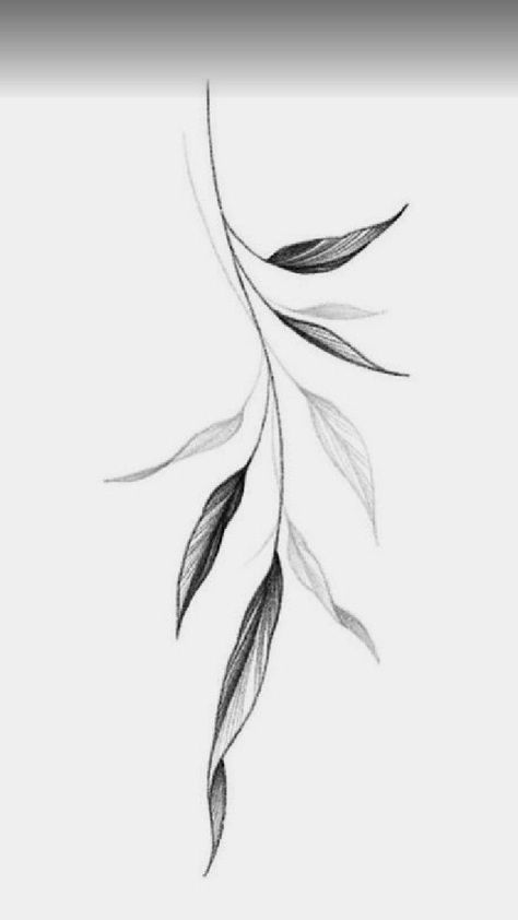 Tattoo Leaf Designs, Leaf Branch Drawing, Willow Leaves Tattoo, Leaf Branch Tattoo, Leaves Tattoo Design, Leaf Tattoo Design, Blatt Tattoos, Leaves Tattoo, Around Arm Tattoo