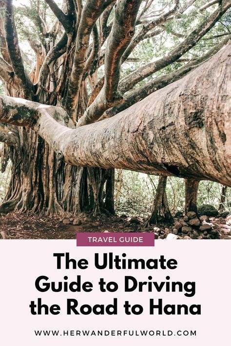 The road to Hana is a 65 mile stretch of road in Maui and it is full of lush greenery, seascapes, and waterfalls! The drive is unbelievable, but it can also be treacherous! With this guide, you will feel confident to drive the Road to Hana and have a wonderful time! Usa Travel Map, Travel Destinations Photography, Haleakala National Park, Trip To Maui, West Maui, Road To Hana, Usa Beaches, Travel Bucket List Usa, How To Drive