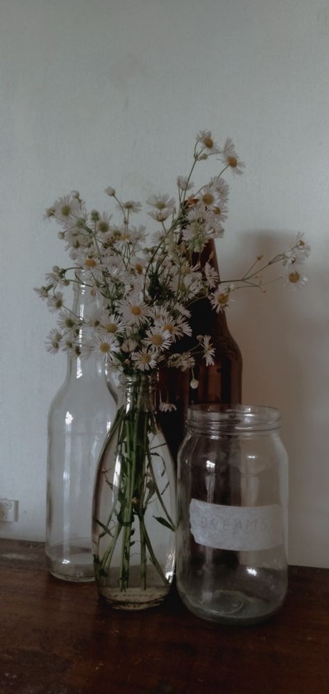 Glass Jar Aesthetic, Mason Jars Aesthetic, Mason Jar Aesthetic, Flower In Jar, Daisies In A Vase, Jar Aesthetic, Book Mood, Themed Bachelorette, Reference Pics