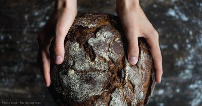 What You Must Know About Gluten Dairy Foods, Fiber Bread, Artisan Bread Recipes, Simple Nutrition, Sourdough Baking, Fiber Rich Foods, Rye Bread, No Dairy Recipes, Wheat Bread