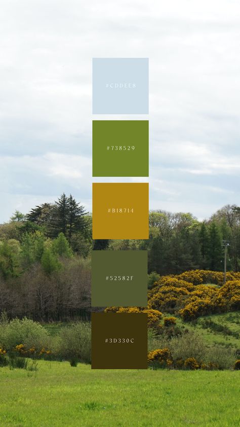 Rolling green hills, a pale blue sky and golden gorse bushes - Irish country spring time in an image. Irish Colour Palette, Farming Color Palette, Colour Palette 2024, Spring Colour Palette, Irish Beach, Country Spring, Irish Country, Irish Spring, England Countryside