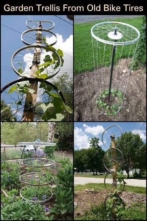 Bike Tire Crafts, Bicycle Wheel Repurposed, Bicycle Rim Projects, Bicycle Tires Diy Ideas, Old Bicycle Garden Ideas, Bike Wheel Trellis, Old Bike Wheel Ideas, Upcycle Material, Bike Rims Ideas