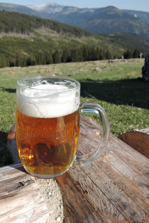 Beers Aesthetic, Beer Garden Aesthetic, Summer Beer Aesthetic, German Beer Garden, Bavarian Beer Garden, Beer Aesthetic, Pint Beer, Pint Of Beer, Beer Garden