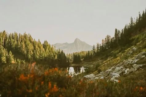 Film Nature, Washington Mountains, Nature Film, 35 Mm Film, Photography 35mm, Film Photography 35mm, Late Autumn, On Film, Photography Nature