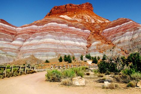 20 Ultimate Things To Do in Arizona – Fodors Travel Guide Red Rocks Arizona, Road In Desert, Red Sand Desert, Arizona Desert Animals, Arizona Desert Sunset, Moving To Las Vegas, Desert Aesthetic, Southwest Travel, Visit Arizona