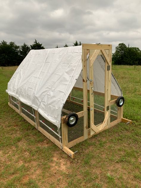 Moved the chicken tractor out on the pasture and moved the chickens in. Mobile Chicken Coop Diy Tractors, Chicken Coop Moveable, Diy Chicken Tractor, Pastured Poultry, Mobile Chicken Coop, Meat Birds, Poultry Farming, Urban Homestead, Portable Chicken Coop