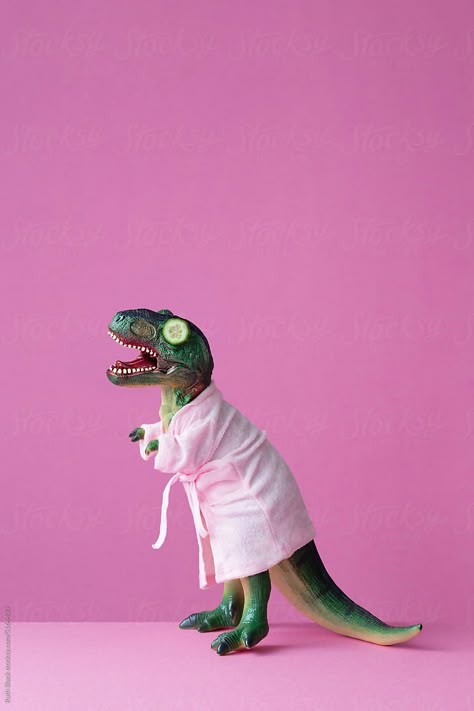 T Rex Aesthetic, Dinosaurs Aesthetic, Dinosaur Aesthetic, Dino Art, Deco Originale, Dino Party, Go Wild, Arte Animal, Dinosaur Christmas