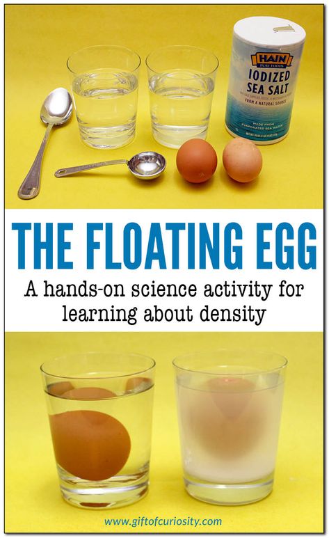 The floating egg: A hands-on science activity for learning about density. Children will learn that an egg sinks in fresh water but floats in salt water. This activity is part of the Density STEM Pack. || Gift of Curiosity Salt Activities, Egg Activities, Egg Experiments For Preschool, Duck Science Experiment, Sink And Float Activities, Fresh Water Vs Salt Water Activities, How Much Salt To Make An Egg Float, How To Make An Egg Float Science Project, Salt Water Density Experiment