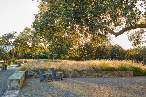 Wine Country Modern — Lucas & Lucas Backyard Vineyard, Mediterranean Gardens, Verbena Bonariensis, Small Cabins, Grassy Meadow, Bocce Court, Gravel Patio, Lake Homes, Country Modern