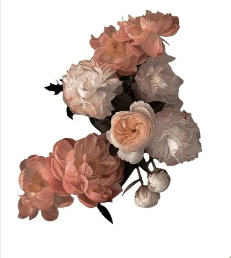 Aesthetic Flower Png, Cottagecore Aesthetic Wallpaper, Vintage Edit, Card Stickers, Stickers Vintage, Scrapbook Printing, Vintage Stickers, Vintage Png, Image Stickers