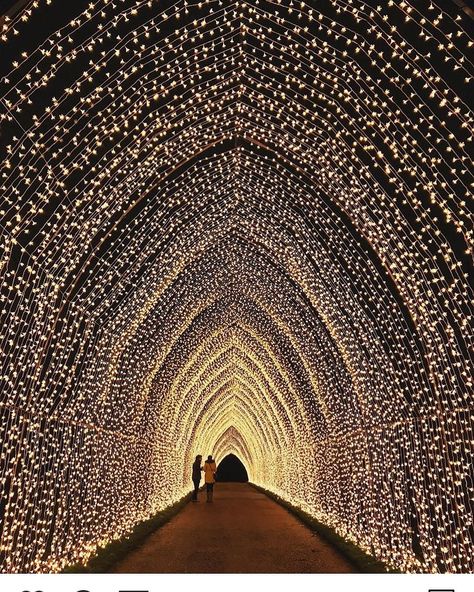 Enchanted Living on Instagram: “Tunnel of light at the Royal Botanic Garden in Edinburgh, Scotland! By @marthaagillespie” Edinburgh Christmas, Winter Bucket List, Wedding Entrance, Kew Gardens, Unique Wedding Invitations, Botanic Garden, Back Gardens, Magical Christmas, Wedding Lights