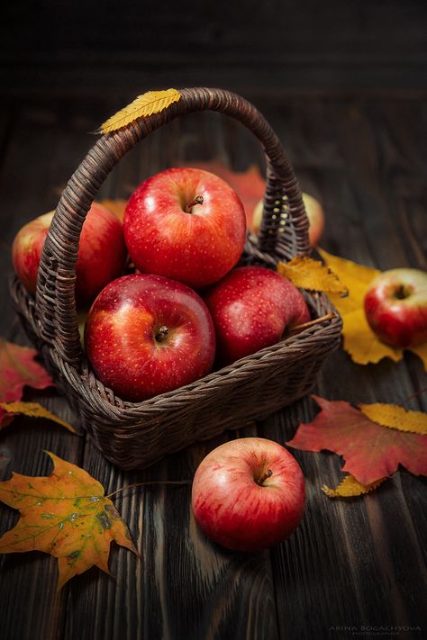 ***. Автор: Arina Bogachyova Free Thanksgiving Wallpaper, Thanksgiving Wallpapers, Thanksgiving Wallpaper, Free Thanksgiving, Beautiful Fruits, Autumn Scenes, Halloween Painting, Nft Art, Cozy Autumn