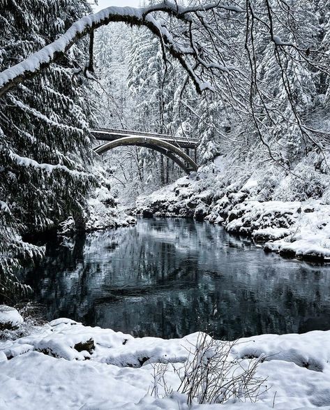 Photo credit: kristarphoto #washingtonstate #bridge #river #snow #winter Pacific Northwest Winter, Magical Scenery, Aesthetic Places, Snowy Forest, Snow Winter, Iconic Photos, Winter Photography, Winter Scenes, Washington State