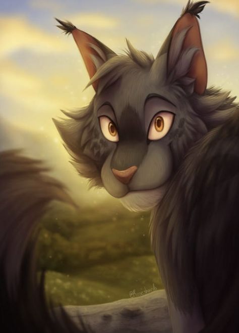 Dawn Of The Clans, Warrior Cats