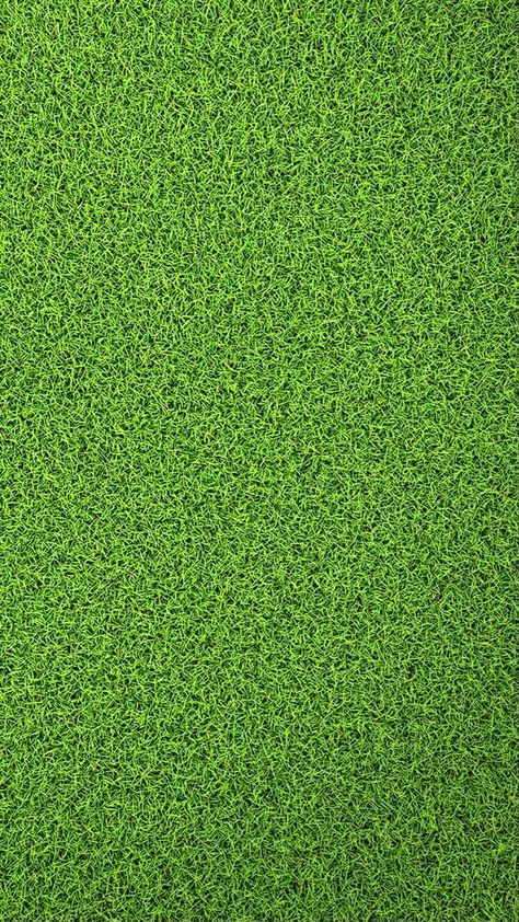 Grass Texture Seamless, Carpet Texture Seamless, Endless Pattern, Green Grass Background, Green Play, Grass Carpet, Grass Wallpaper, Grass Background, Landscape Elements