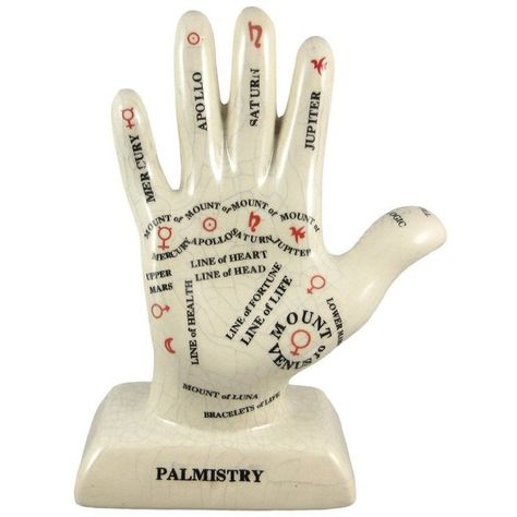 Things2Die4 Porcelain Palmistry Hand Statue Palm Reading ($25) ❤ liked on Polyvore featuring fillers, decor, home and interior Polyvore Fillers, Palmistry Hand, Pngs For Moodboards, Png Polyvore, Hand Statue, Katya Zamolodchikova, Moodboard Pngs, Niche Memes, Hand Palm