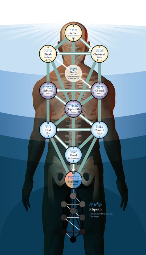 Kabbalah, the Tree of Life on the body Kemetic Spirituality, Sacred Geometry Symbols, Occult Symbols, Alchemy Symbols, Esoteric Art, Spirit Science, Magic Symbols, Occult Art, Ancient Knowledge