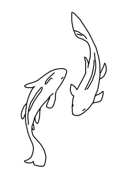 Koi Drawing Simple, Koi Fish Japanese, Fish Japanese, Fish Sketch, Koi Fish Drawing, Fish Drawing, Japanese Fish, Koi Fish Tattoo, Japanese Drawings