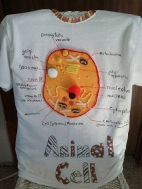 Help kids jazz up their school science project with an idea to create a wearable animal cell t-shirt. Cell Diagram Project, 3d Animal Cell Project, 3d Cell Project, Animal Cell Diagram, Animal Cell Model Project, Edible Cell Project, 3d Animal Cell, Plant Cell Project, Edible Cell