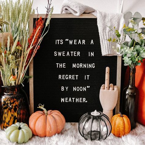 Turkey Letterboard, September Letterboard, October Letter Board Ideas, Funny Fall Letter Board Quotes, Fall Letterboard Quotes, Fall Letterboard, Funny Fall Quotes, Fall Puns, Office Boards