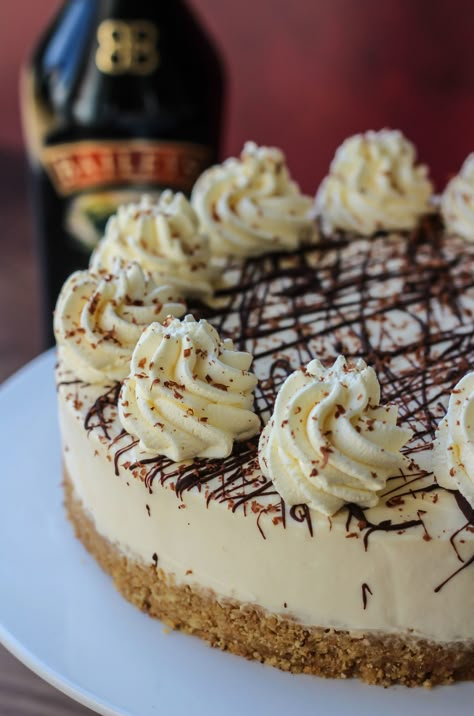 No Bake Baileys Cheesecake Recipes, Baileys Cheesecake No Bake, Baileys Deserts, Mini Baileys Cheesecake, Bailey Cheesecake, Baileys Cheesecake Recipes, Bailey Drinks, Baileys Desserts, Chocolate Biscuit Cake Recipe