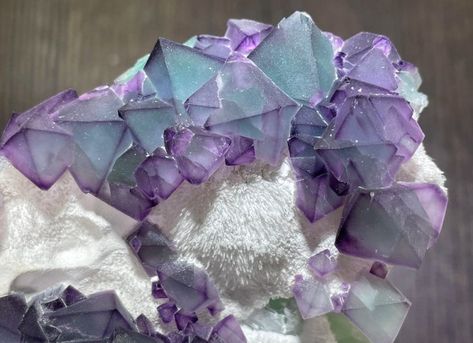 Geology Tweets no X: "Octahedral Fluorite on Matrix from De'an Mine, China Photo: DallasStoneworks https://t.co/HaNSEsZ6Jz" / X Rocks Crystals, Fluorite Crystals, Magic Stones, Shiny Objects, Green Fluorite, Cool Rocks, Youtube Link, Easily Distracted, Fluorite Crystal