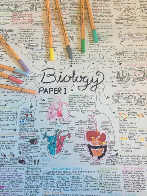 Mind maps galore 💕💕 Revision Mind Maps, Mind Maps Aesthetic, Biology Mind Map, Form Aesthetic, Gcse Notes, Studying Ideas, Gcse Science Revision, Science Revision, Biology Revision