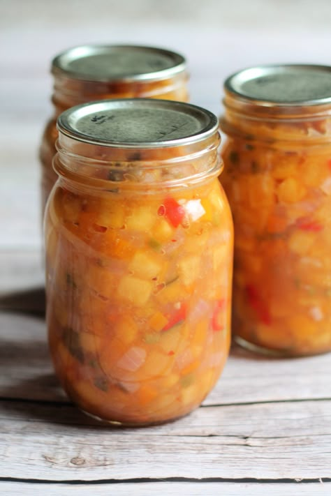 Canned Peach Salsa via @nelsonroadgarden Southern Veggies, Peach Salsa Recipe, Salsa Canning Recipes, Peach Salsa Recipes, Water Bath Canning Recipes, Best Sauce Recipe, Best Appetizer, Canning Peaches, Sauce For Salmon