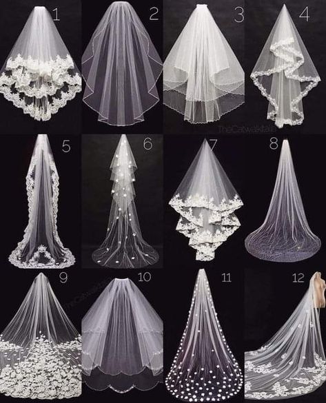 Types Of Veils, Spring Wedding Outfit, Lazaro Wedding Dress, Ivory Bridal Veil, Tulle Wedding Veil, Wedding Dress Types, For Wedding Dresses, Wedding Dress With Veil, Sleeve Wedding Dress