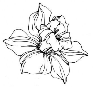 March Birth Flower Drawing, March Birthstone Tattoo, March Flowers Tattoo, Daffodil Tattoo Stencil, March Birth Flower Tattoo With Name, March Birthday Tattoo, Daffodil Drawing Tattoo Ideas, Daphodil Tattoo, March Tattoo Ideas Birth Month