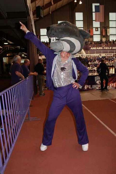 70's night Willie the Wildcat!! Willie The Wildcat, Jim Lee Wildcats Art, Jim Lee Wildcats, Wildcat Mascot, Ksu Wildcats, K State, Kansas State University, Kansas State Wildcats, Kansas State