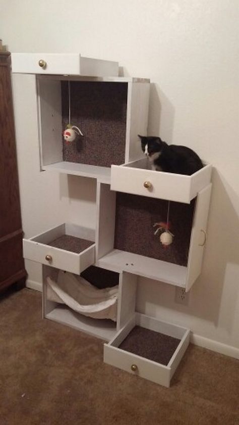 repurposed furniture, etc into easy diy cat furniture | You can also use the step-by-step tutorial linked below as guide to ... Katt Diy, Katt Grejer, Trees Diy, Diy Cat Tree, Cat House Diy, Old Drawers, Condo Ideas, Cat Trees, Ideal Toys