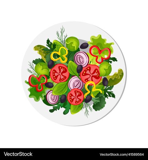 Vegetable Dishes Healthy, Vegetable Drawing, Fresh Meal, Food Vector, Vegetable Dish, Vegetarian Food, Food Healthy, Vegetable Salad, Salad Plate