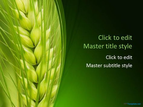 Free Crops PPT Template for presentations on Agriculture #PowerPoint Agriculture Photography, Background For Powerpoint, Ppt Free, Ppt Themes, Background For Powerpoint Presentation, Ppt Template Design, Free Ppt Template, Make A Presentation, Powerpoint Slide Designs