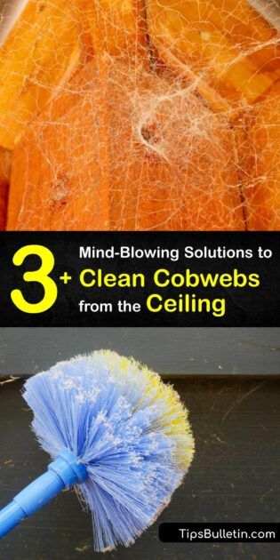 Cobweb Control - Fast Tricks for Removing Webs from the Ceiling Cleaning Cobwebs Basement, Ceiling Cleaning Hacks, Cleaning Cobwebs, Cleaning Ceilings, Nashville House, Get Rid Of Spiders, Mini Barn, Clean Garage, Ceiling Finishes