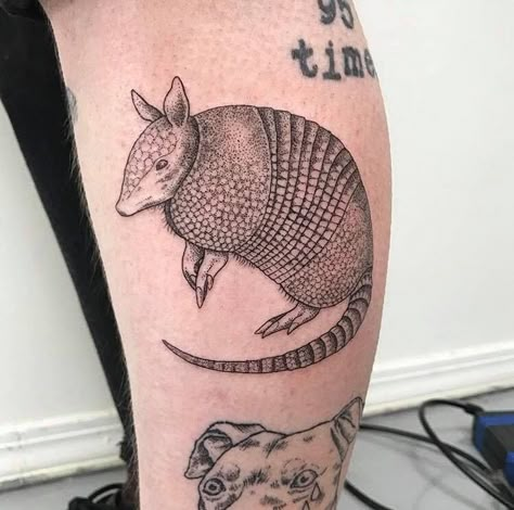 Armadillo Tattoo, Armadillo Art, Outdoor Tattoo, Sloth Tattoo, Cute Owl Tattoo, Animal Sleeve Tattoo, Texas Tattoos, Western Tattoos, Clever Tattoos