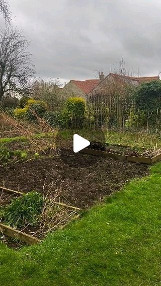 Healthy Herbs - Health Tips on Instagram: "Creating NO-DIG Growing beds 🌱 Great content by @nettlesandpetals. Follow him for more amazing content like this!

I’m in the process of converting an old unkept allotment into an organic no-dig vegetable garden and it’s finally time to create the main growing beds! And of course they are all going to be created utilising the ‘no-dig’ or ‘minimal disturbance’ methodology.

This old allotment space had been dug over year after year and the soil has sunk and degraded overtime. But by mulching instead of digging or tilling, we can mimic natural processes and start to rebuild that soil structure and allow the myriad of life within to thrive whilst creating a symbiotic relationship with the plants we then grow, increasing yields and boosting biodivers No Soil Gardening, Allotment Ideas, Allotment Garden, Packaging Cardboard, Allotment Gardening, Organic Compost, Healthy Herbs, Symbiotic Relationships, The Soil