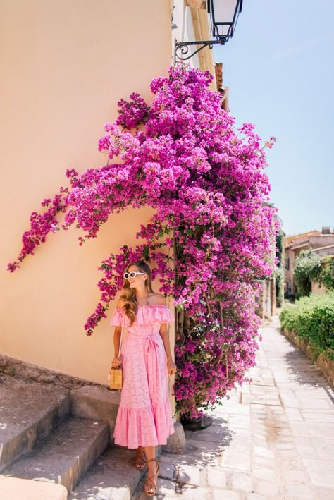 St Tropez France, Julia Berolzheimer, Pondicherry, Lisa Marie Fernandez, Foto Tips, Gal Meets Glam, Foto Art, Bougainvillea, Ideas Para Fotos