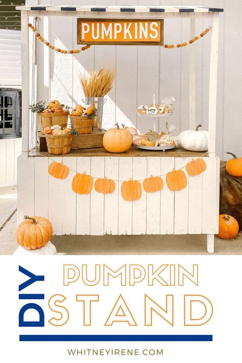 Pumpkin Stand Mini Session - Darling Pumpkin Stand Photoshoot Pumpkin Stand Diy, Pumpkin Patch Stand Photoshoot, Pumpkin Stand Photoshoot, Diy Pumpkin Stand Photo Prop, Fall Pumpkin Setup, Pumpkin Stand Ideas, Pumpkin Patch Stand, Pumpkin And Apple Stand, Pumpkin Farm Stand Ideas