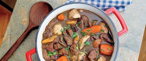 Savory Duck Stew Wild Duck Recipes Crockpot, Duck Stew Crockpot, Duck Chili Recipe, Pheasant Stew, Duck Stew, Wild Duck Recipes, Stew Recipes Crockpot, Duck Breast Recipe, Cottagecore Food