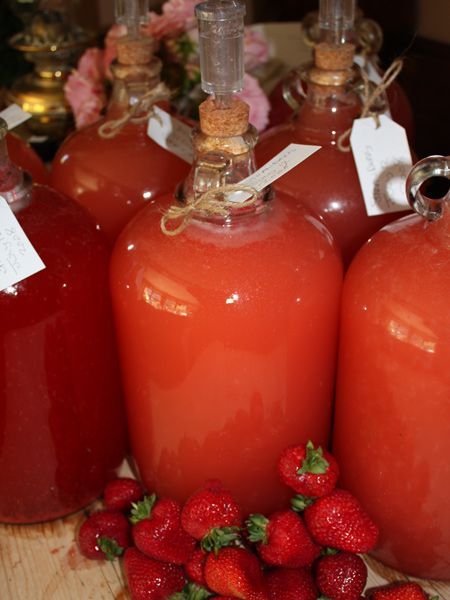 Homemade Strawberry Wine... takes some time but I definitely want to try this! Yum. :) Homemade Alcohol, Homemade Liquor, Strawberry Wine, Homemade Wine, Homemade Drinks, Wine And Liquor, Fermented Foods, Party Drinks, Wine Making