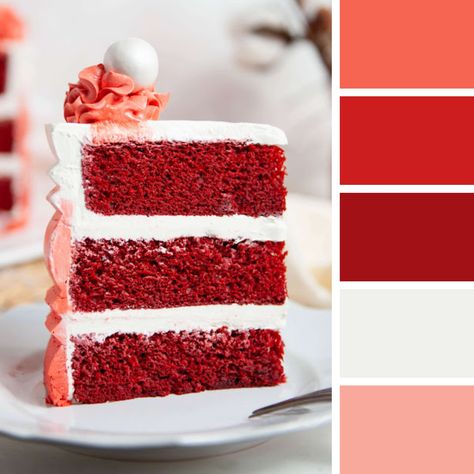 Red Ombre, Colorful Cakes, Red Velvet Cake, Color Palette Design, Buttercream Frosting, Color Pallets, Red Velvet, Butter Cream, Color Palette