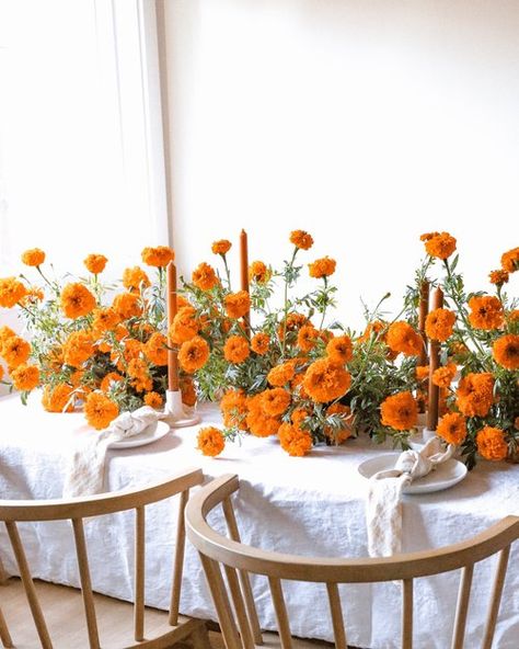 Portfolio — Iris & Fig Orange Candles, Marigold Wedding, Katie White, White Linens, Orange Candle, Wedding Tablescape, Whidbey Island, Orange Wedding, Wedding Mood Board