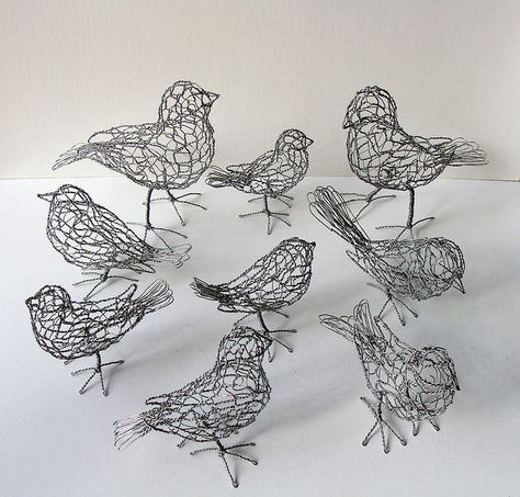 Nine of 25 wire birds - each unique - commissioned by Christopher Young Studio for Harry Winston ("Jeweler to the Stars") holiday windows around the world. Wire Birds, Chicken Wire Sculpture, Chicken Wire Art, Chicken Wire Crafts, Art Fil, Wire Wall Art, Wire Art Sculpture, Art Wire, Sculpture Projects