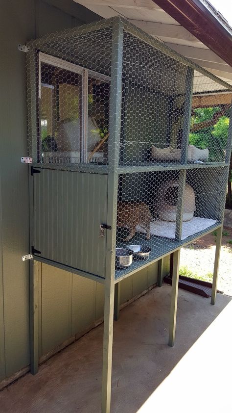 Cat enclosure attached to house. Cats In Garage, Outside Cat Enclosure, Cat House Outdoor, Diy Cat Enclosure, Feral Cat House, Cat Patio, Outdoor Cat Enclosure, Cat House Diy, Cat Run