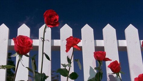 Blue Velvet Movie, Film Blue, Lizzie Hearts, Apocalypse Now, Tony Bennett, Septième Art, White Picket Fence, David Lynch, Picket Fence