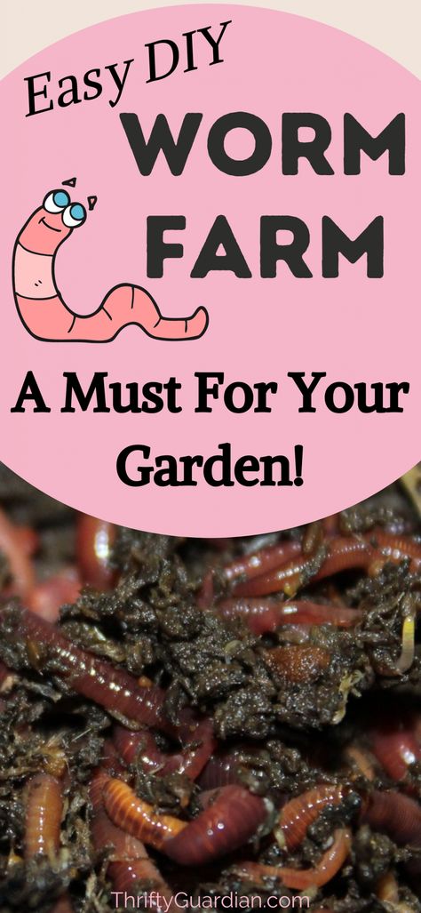 How to start your own worm farm using a tote. Create your own compost bin and DIY a worm farm to get into vermiculture today! Grow to DIY a worm farm with a tote. Grow a better garden on a budget. Diy Worm Farm, Earthworm Farm, Vermicomposting Worm Farm, Compost Worms, Worm Farm Diy, Worm Beds, Garden On A Budget, Worm Farming, Fishing Worms