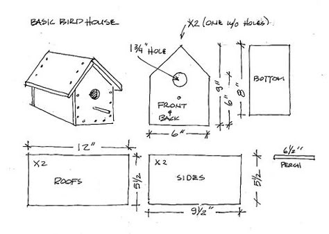 Basic Bird House Plan | let me know if you build these! tag … | Flickr Fancy Birdhouses, Cardinal Bird House, Barn Birdhouses, Bird House Plans Free, Birdhouse Plans, Birds House, Easy Bird, Birdhouse Ideas, Bird Houses Ideas